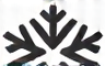 Snowflake Logo